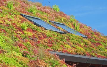 Polstead Heath living roof systems
