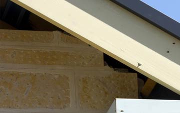 soffit repair Polstead Heath